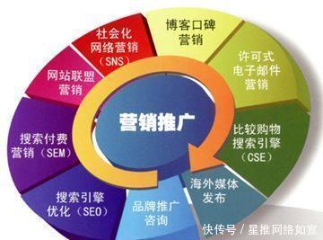 企业网络推广全攻略 从基础搭建到高效服务的实战指南